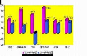 圖四:2009年消費熱點增幅圖