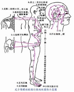 敲膽經[10]