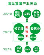 溫氏集團產業結構示意圖