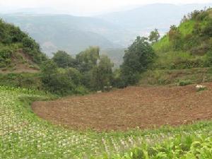 窩拖落村山地