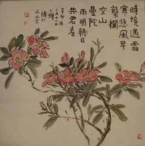 茶花