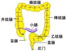 直腸陰道瘺