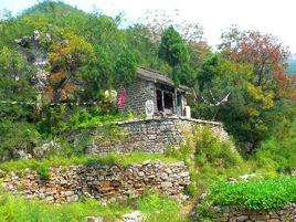 後岩村[雲南昭通市水富縣兩碗鄉下轄村]