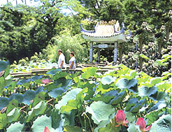 孫中山市政紀念公園