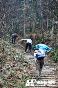 桃花嶺[寧波市鎮海區九龍湖鎮]