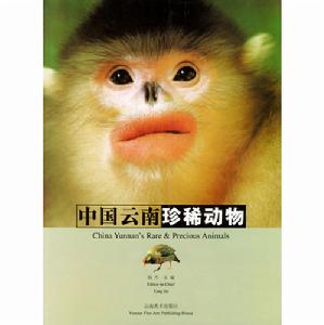 中國雲南珍稀動物