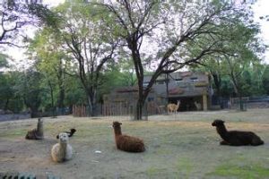 北京動物園