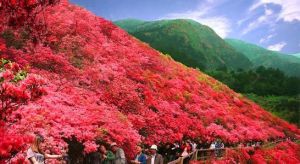 木蘭雲霧山