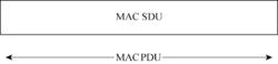 圖4  透明MAC PDU格式