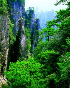 索溪峪十里畫廊－－七洲網