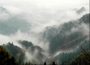 雪峰山國家森林公園