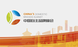 中國自主品牌峰會