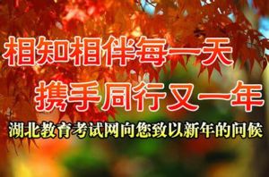 湖北省教育考試網