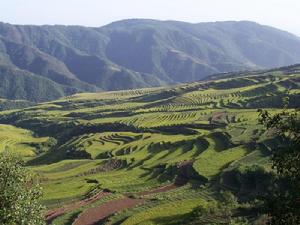 昌明村