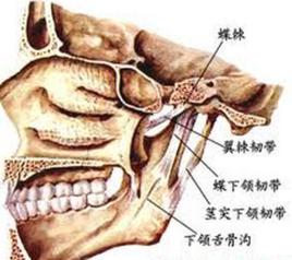 放射性骨損傷