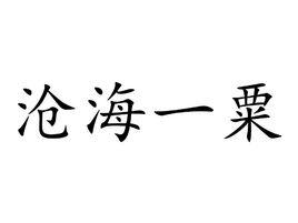 滄海一粟[漢語詞語]