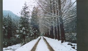 朱家山國家森林公園