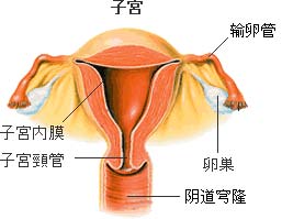 《產褥感染》