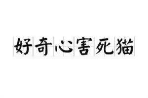 好奇心害死貓[西方諺語]