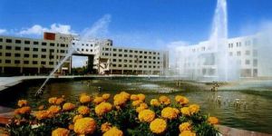 Shihezi University