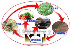 “養殖－種植”循環示意圖