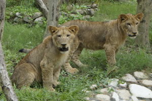 高雄市壽山動物園