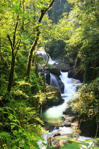 哀牢山森林旅遊區