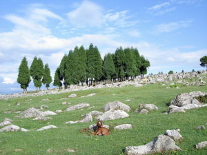 重慶千野草場景區