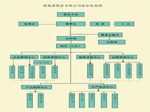 酒鬼酒股份有限公司