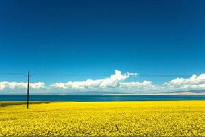 Qinghai Province