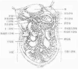 慢性腸系膜缺血