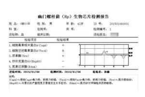 晶片報告示例1