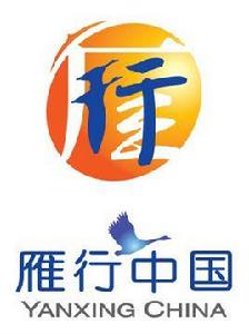 中國社會福利基金會雁行中國項目