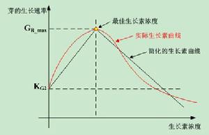 基於植物生長的路徑規划算法