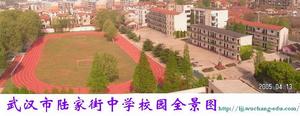 武漢市陸家街中學遠眺圖