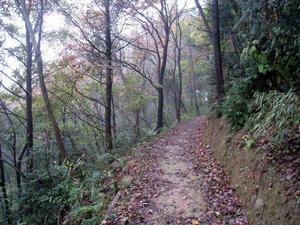 九龍源山道