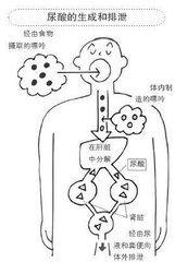 尿酸生成