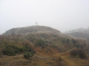 海開村風光