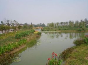 葫蘆島芙蓉生態園