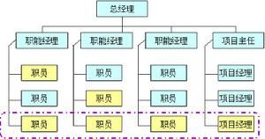 平衡矩陣型組織