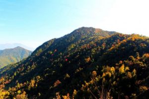 湖南九龍江國家森林公園