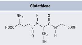 GST[谷胱甘肽巰基轉移酶]