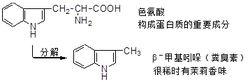 水中異味物質