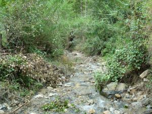 平坦寨自然村