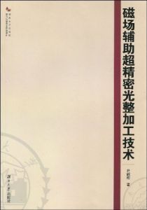 磁場輔助超精密光整加工技術