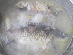 牛奶鯽魚湯