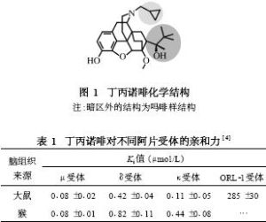 丁丙諾啡