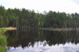 阿里河國家森林公園