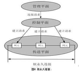 自動交換光網路