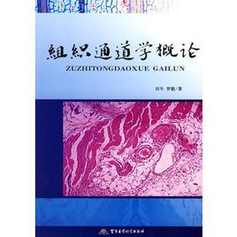 組織通道學概論